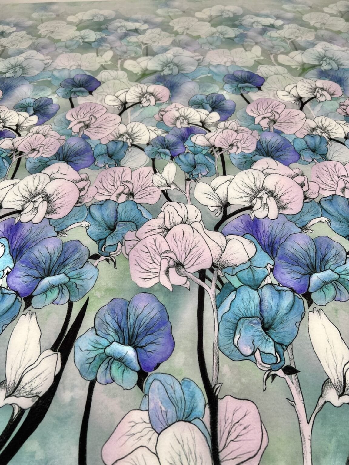 „Silky“ audinys raportais „Orchidėjų Pieva“